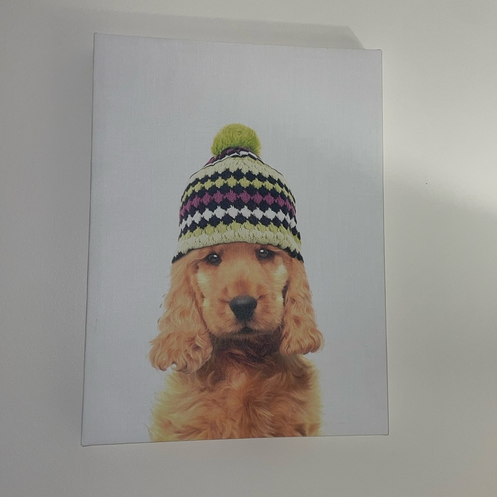 Cute Dog Picture Canvas